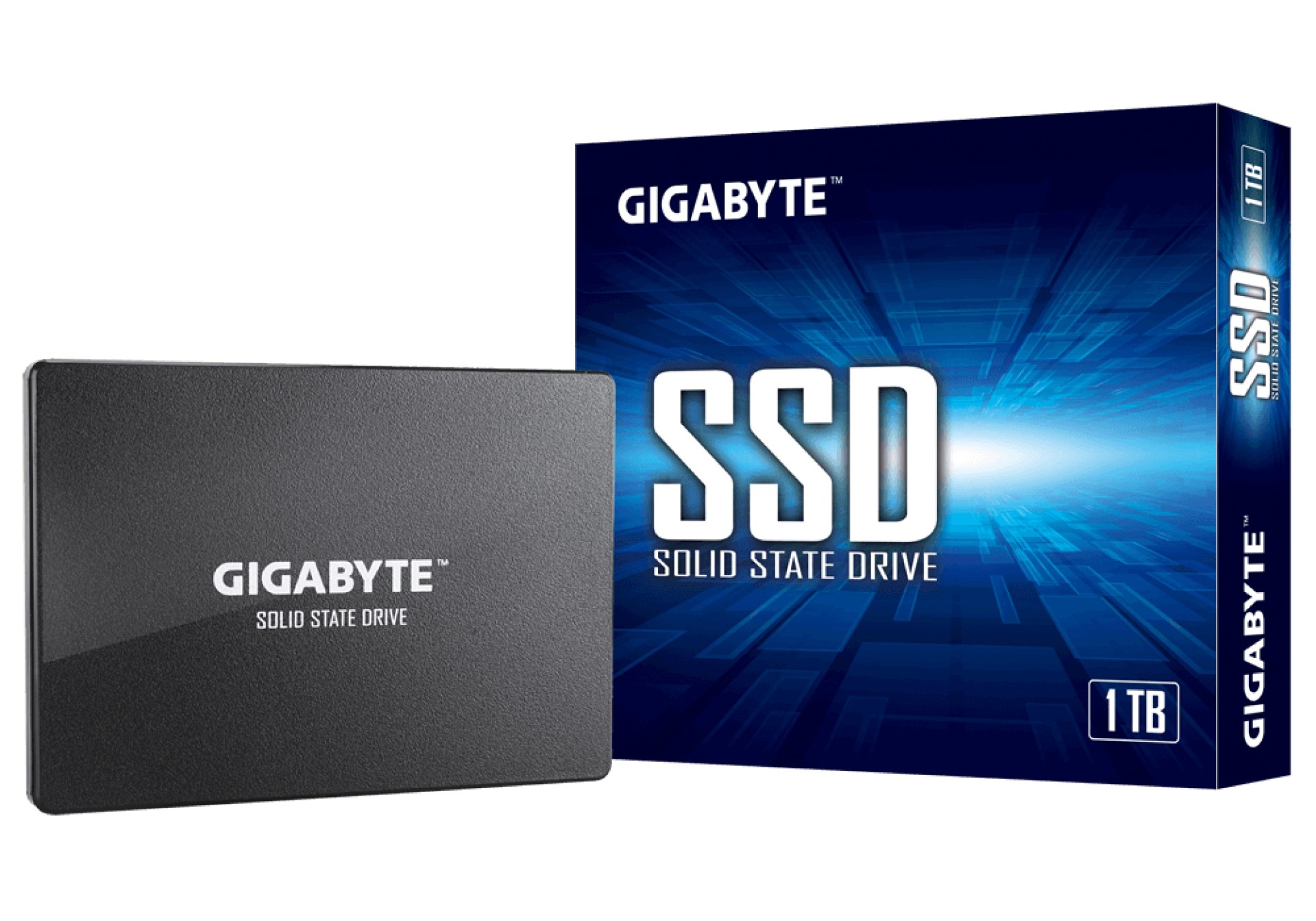 SSD GIGABYTE GP-GSTFS31100TNTD – 1 TB